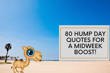 Hump Day Quotes for a Midweek Boost