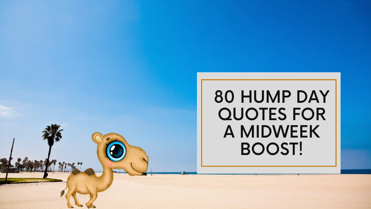 Hump Day Quotes for a Midweek Boost