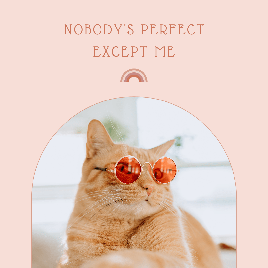 Lighter Side of Narcissism : Nobody is perfect except me
