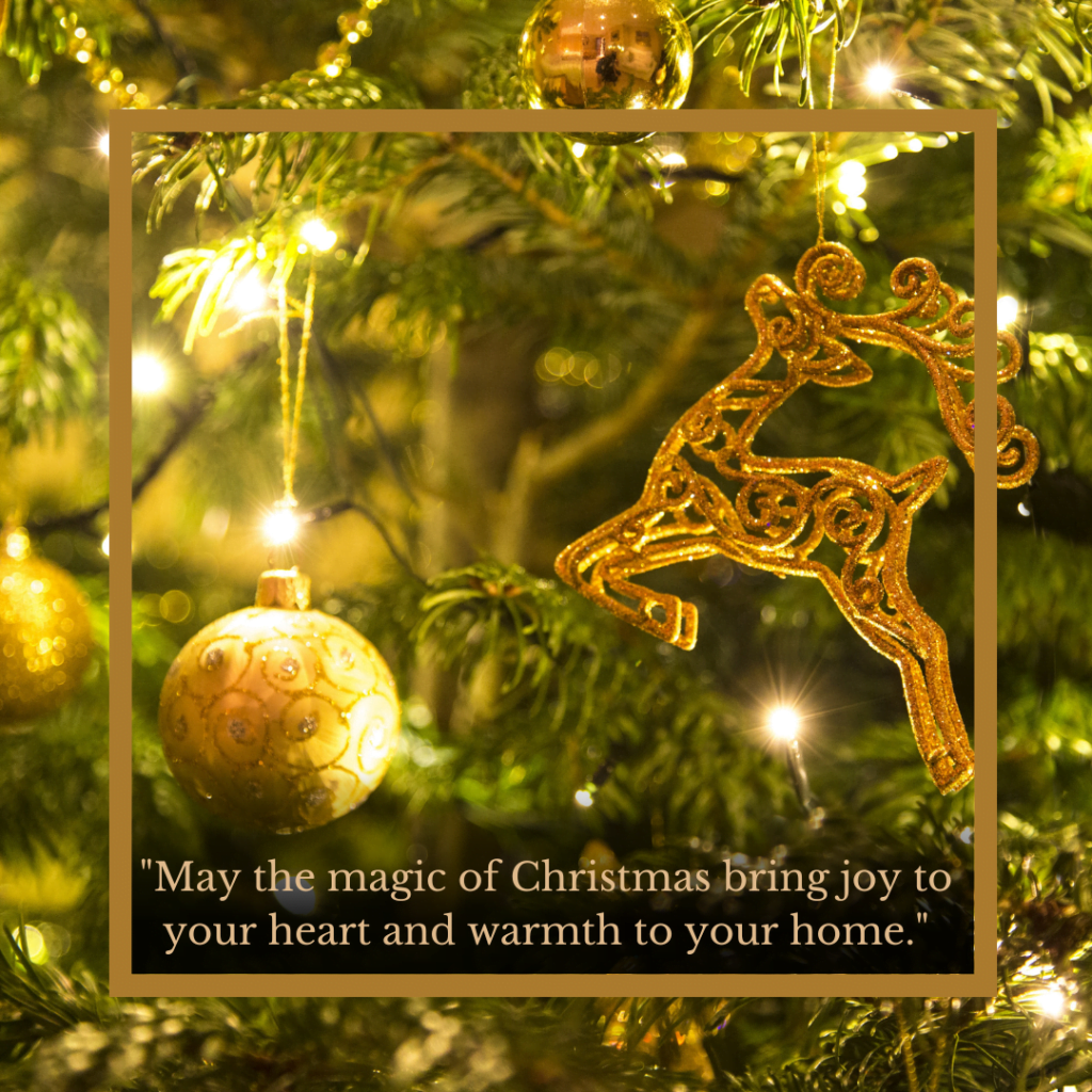 "May the magic of Christmas bring joy to your heart and warmth to your home."